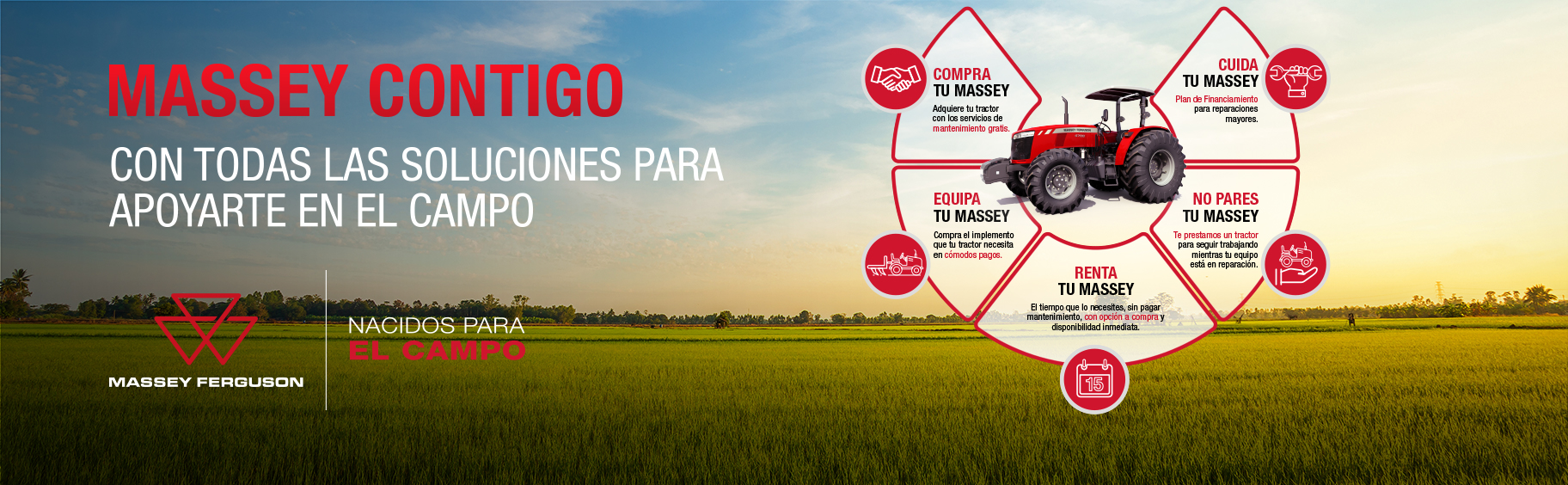 massey contigo