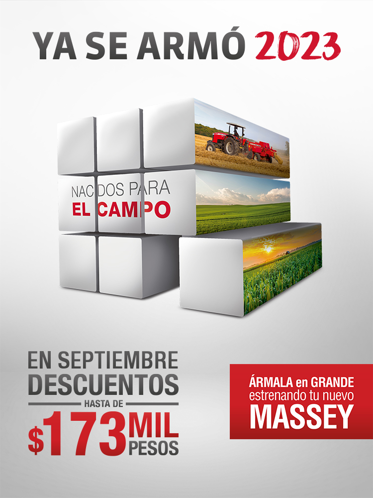 ya se armó 2023